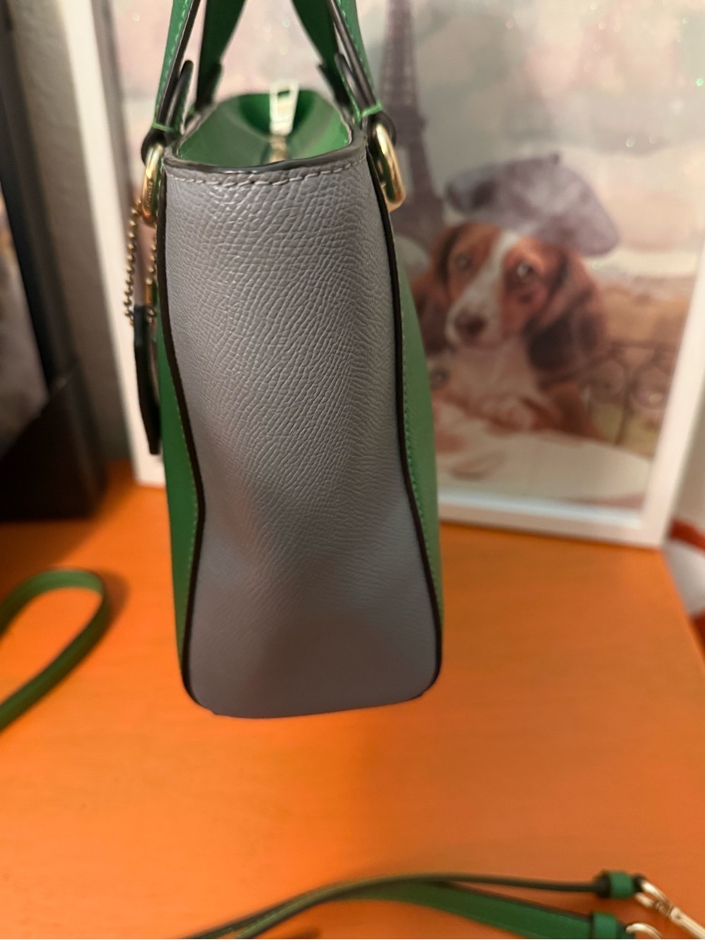COACH Alice Green and Gray Colorblock Mini Satchel - Picture 5 of 12